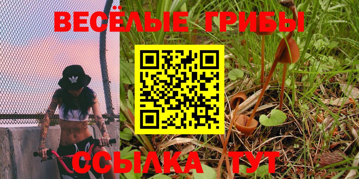 Псилоцибиновые грибы ЛСД  Вход с VPN  Краснознаменск 